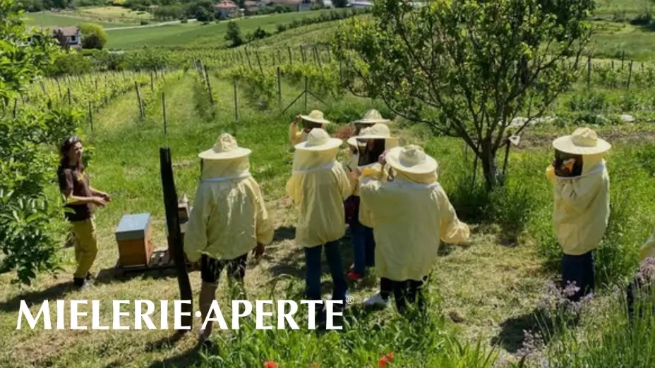 <p>Mielerie aperte, anche in Calabria la giornata dedicata al mondo delle api e ai tesori dell’alveare</p>