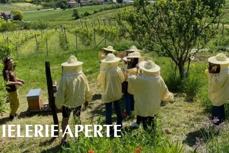 Mielerie aperte: anche in Calabria al via la giornata dedicata ai prodotti dell’alveare e agli apicoltori
