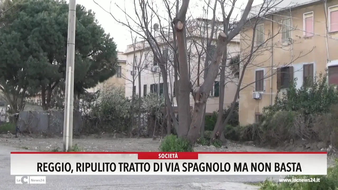 Reggio, ripulito tratto di via Spagnolo ma non basta