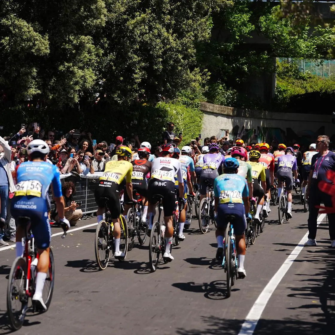 Partita da Catanzaro la quarta tappa del Giro d’Italia: l’arrivo a Cosenza dopo 138 km\n