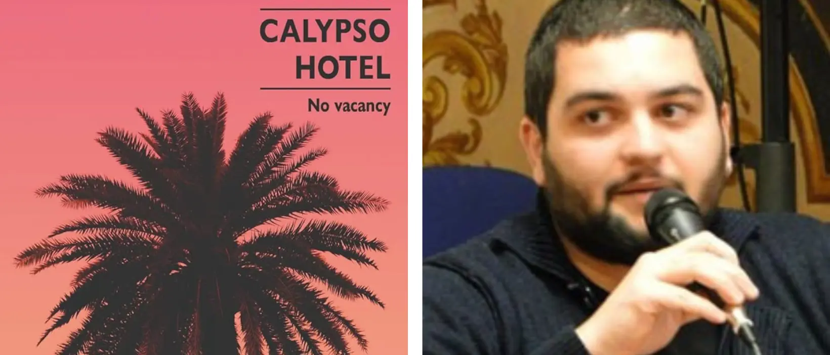Calypso Hotel, il noir di Claudio Metallo tra rabbia sociale e antieroi. Con la Calabria dentro\n