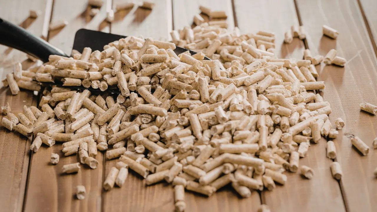 La banda delle truffe online a Crotone, 3.600 euro di pellet mai arrivati. Le intercettazioni: «Può stare tranquillo al 100%»\n