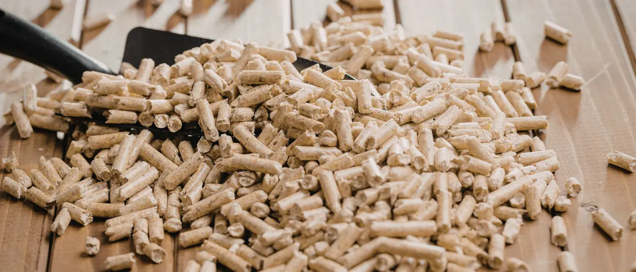 La banda delle truffe online a Crotone, 3.600 euro di pellet mai arrivati. Le intercettazioni: «Può stare tranquillo al 100%»\n