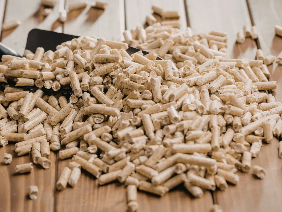 La banda delle truffe online a Crotone, 3.600 euro di pellet mai arrivati. Le intercettazioni: «Può stare tranquillo al 100%»