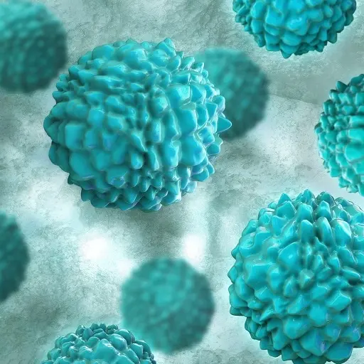 Oltre 1.700 persone in quarantena su una nave dopo la morte di un passeggero: paura per il Norovirus\n