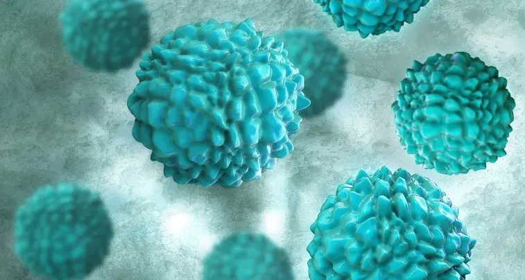 Oltre 1.700 persone in quarantena su una nave dopo la morte di un passeggero: paura per il Norovirus\n
