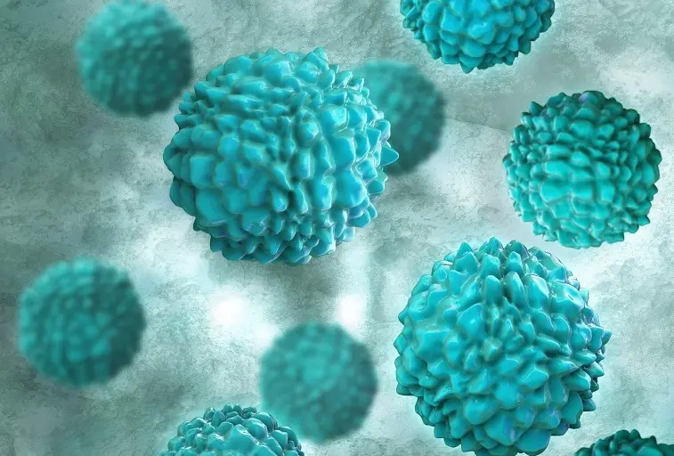 Oltre 1.700 persone in quarantena su una nave dopo la morte di un passeggero: paura per il Norovirus\n
