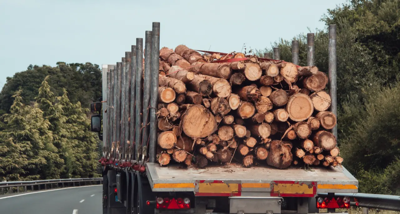 <p>Allarme sulla <span style=\"color:hsl(0, 75%, 60%);\">Sp43 a Brognaturo</span>, la sindaca (ri)scrive alla Provincia: «Camion ad alta velocità e rischi continui per la popolazione»</p>