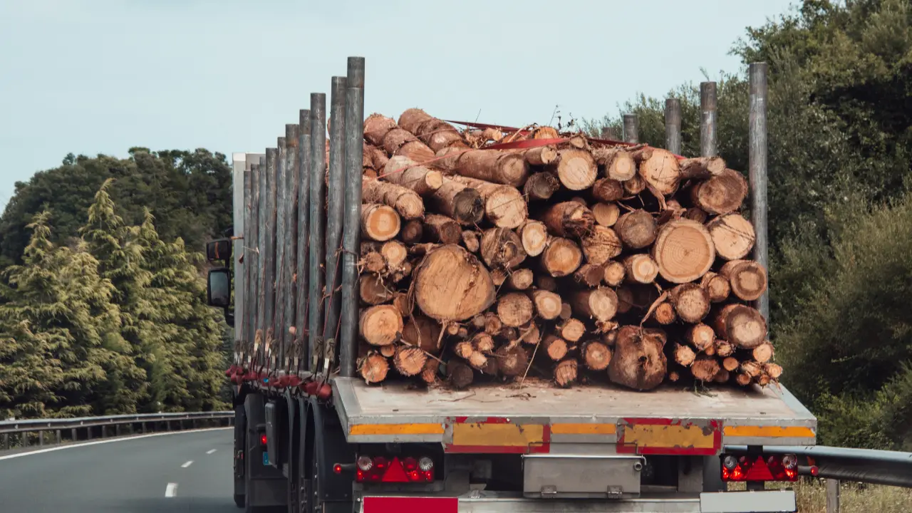 Allarme sulla Sp43 a Brognaturo, la sindaca (ri)scrive alla Provincia:\u00A0«Camion ad alta velocità e rischi continui per la popolazione»\n