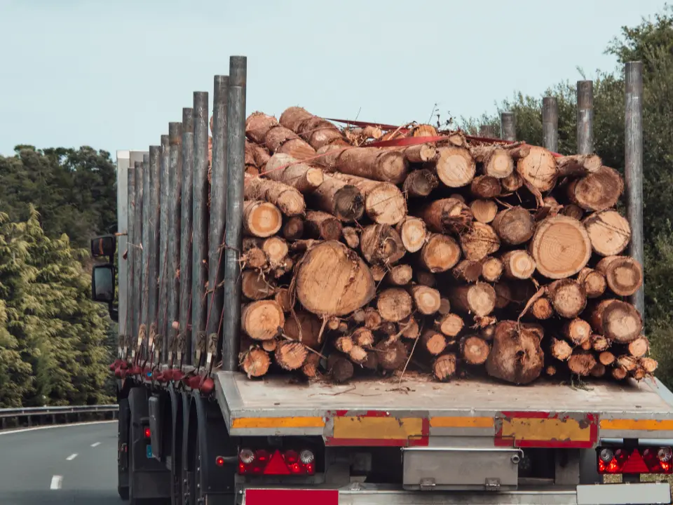 Allarme sulla Sp43 a Brognaturo, la sindaca (ri)scrive alla Provincia: «Camion ad alta velocità e rischi continui per la popolazione»