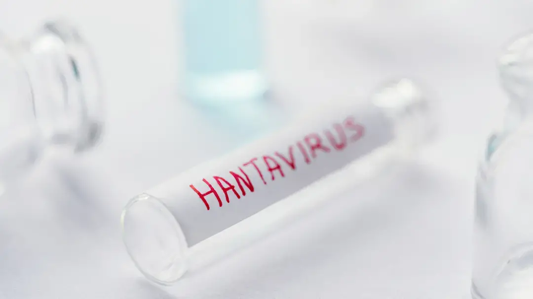 Hantavirus, negativi tutti i test eseguiti in Italia: «Il virus non è mutato»\n