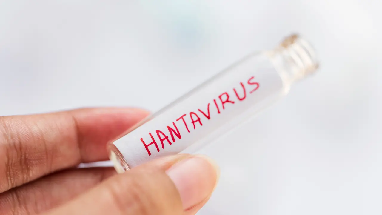 Hantavirus, in Calabria una\u00A0cabina di regia: «Rischio basso ma non si esclude la possibilità di dover gestire casi»\u00A0\n