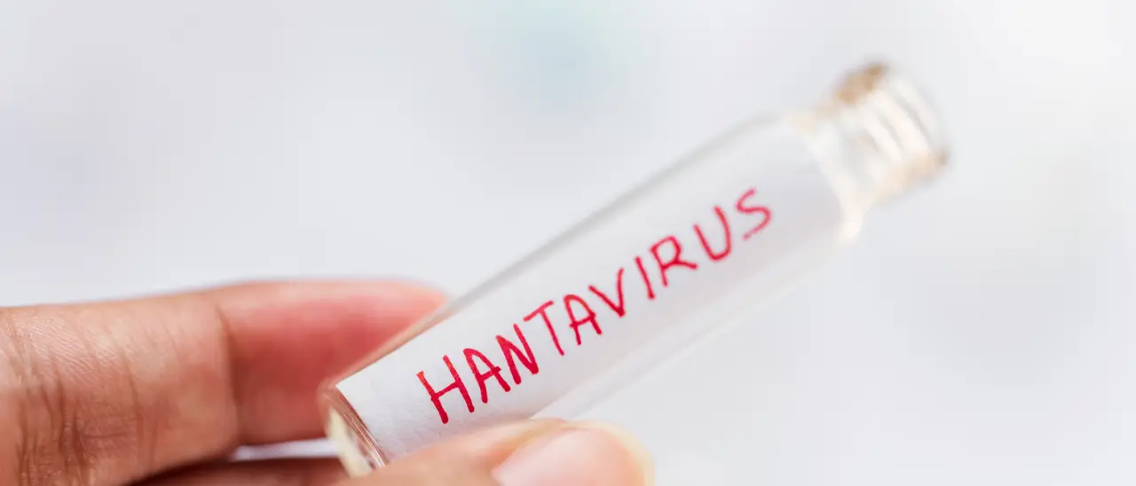 Hantavirus, in Calabria una\u00A0cabina di regia: «Rischio basso ma non si esclude la possibilità di dover gestire casi»\u00A0\n