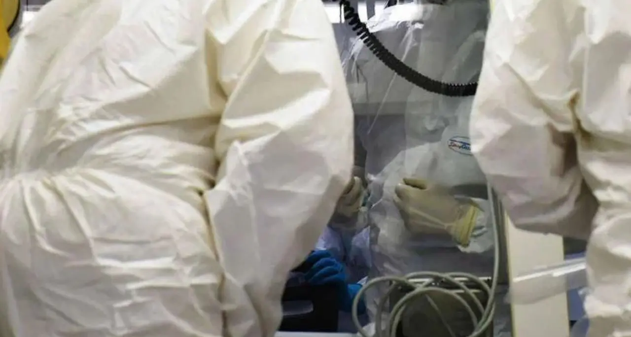 Ebola, la conferma di un focolaio in Congo: «246 casi sospetti e 65 morti»\n\n\n