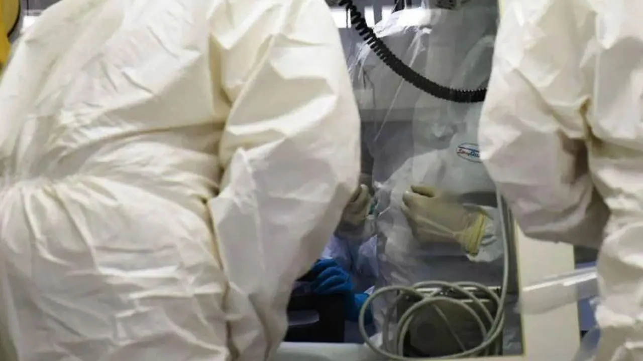 Ebola, la conferma di un focolaio in Congo: «246 casi sospetti e 65 morti»\n\n\n