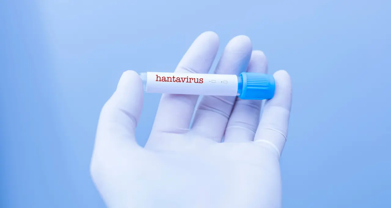 Hantavirus, dalle mascherine ai centri di contenimento: ecco come vanno gestiti i casi sospetti\n