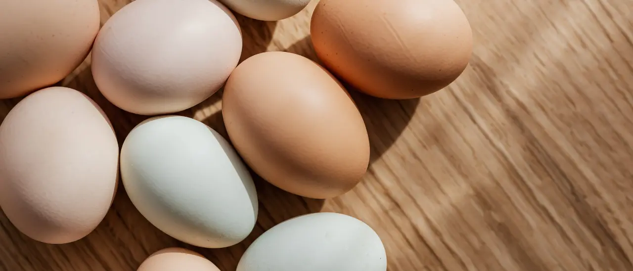 Alzheimer e alimentazione, uno studio rivaluta le uova per la salute del cervello\n\n\n