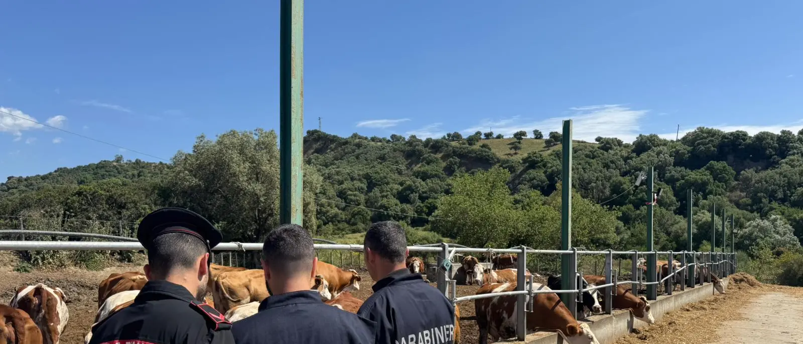 Blitz nei campi contro il caporalato, scoperti lavoratori in nero nel Catanzarese: scattano multe e verifiche\n