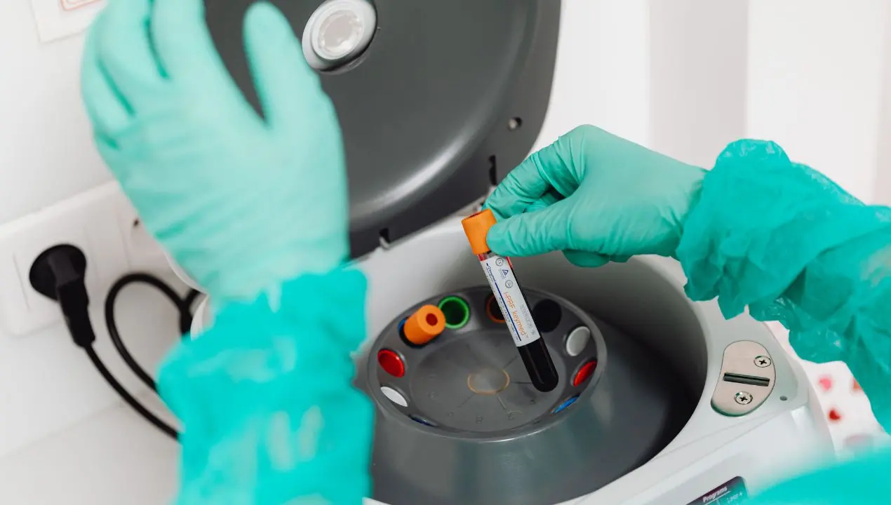 Ebola, l’Organizzazione mondiale della sanità dichiara l’emergenza internazionale a causa di un raro ceppo\n