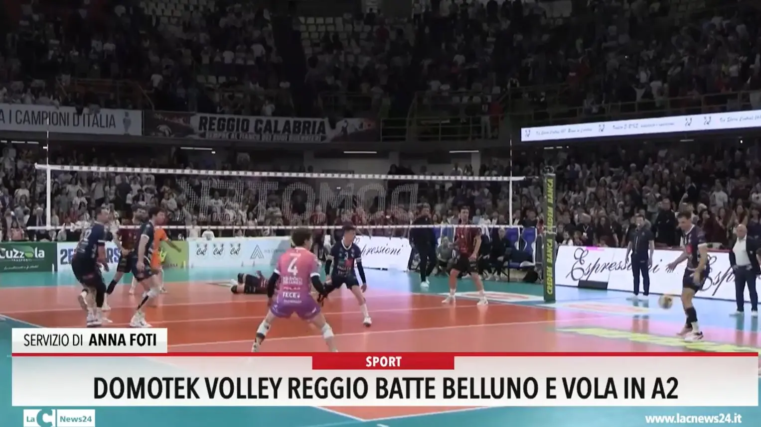 Domotek volley Reggio batte Belluno e vola in A2