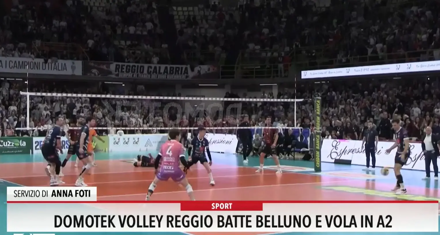 Domotek volley Reggio batte Belluno e vola in A2