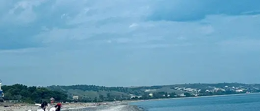 Mandatoriccio, lezione sulla spiaggia per gli alunni: spuntano anche i delfini\n