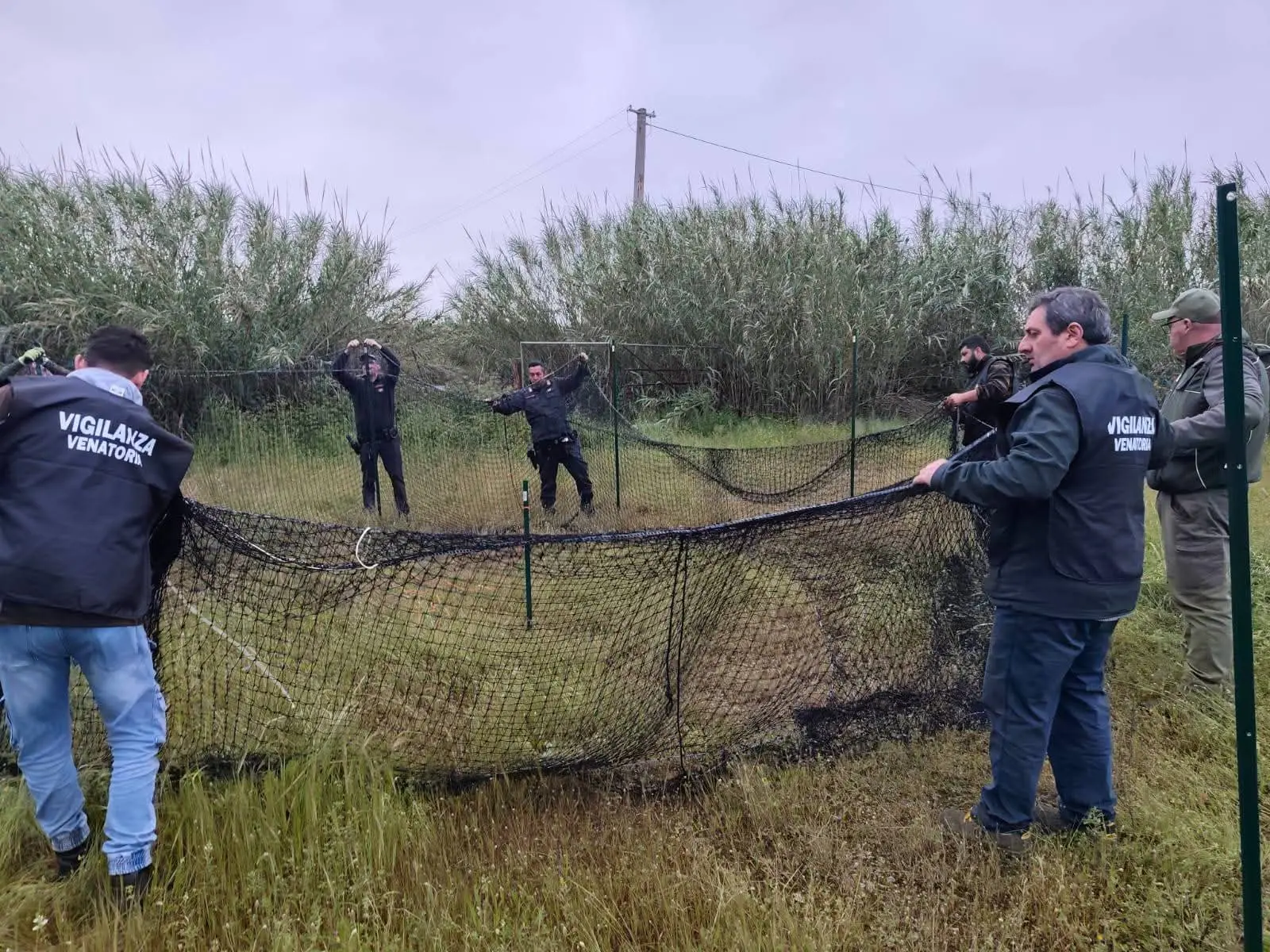 Siderno, contrada Pellegrina:\u00A0catturati otto esemplari di cinghiali\n
