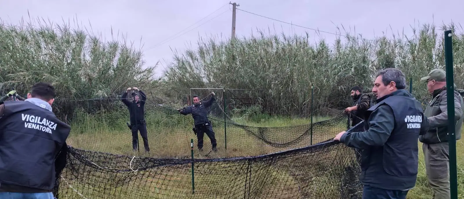 Siderno, contrada Pellegrina:\u00A0catturati otto esemplari di cinghiali\n