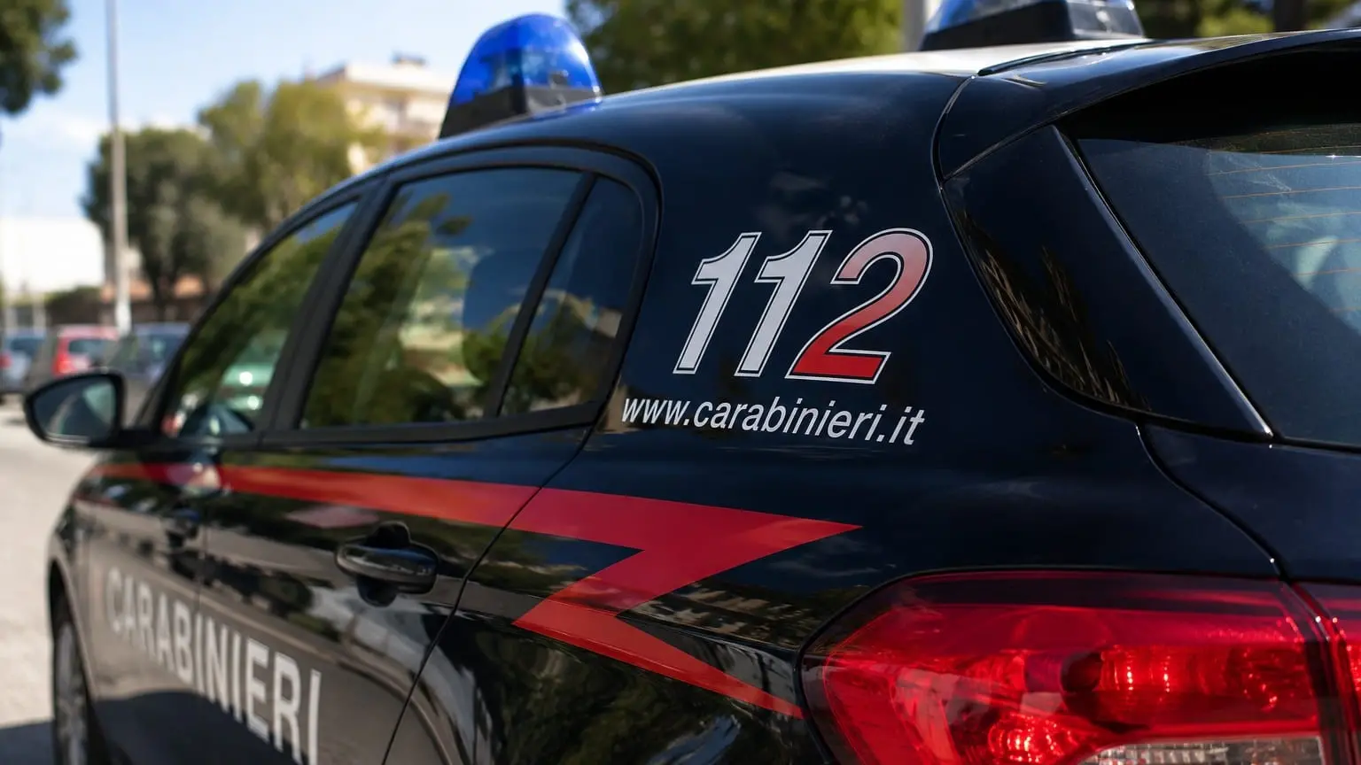 <p>L'operazione è stata condotta dai militari dell'Arma</p>\\n