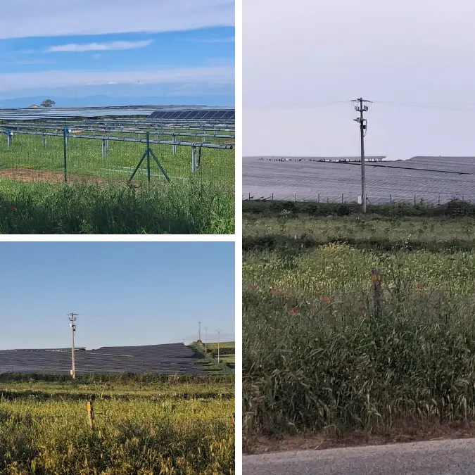 Sul Poro avanzano i pannelli fotovoltaici, l’allarme di Italia Nostra: «Così si cancella l’anima agricola della Calabria»\n