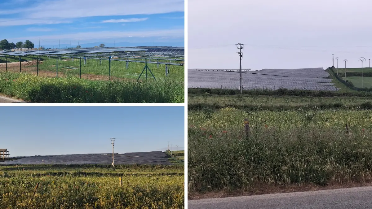 <p>Le distese di pannelli fotovoltaici a Monte Poro</p>\\n