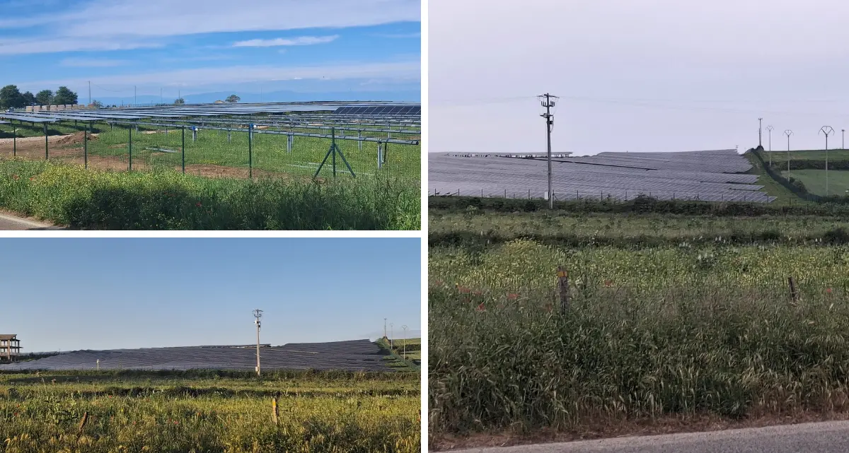 Sul Poro avanzano i pannelli fotovoltaici, l’allarme di Italia Nostra: «Così si cancella l’anima agricola della Calabria»\n
