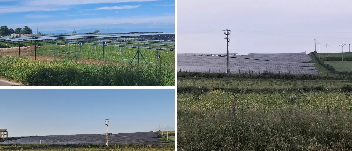 Sul Poro avanzano i pannelli fotovoltaici, l’allarme di Italia Nostra: «Così si cancella l’anima agricola della Calabria»\n