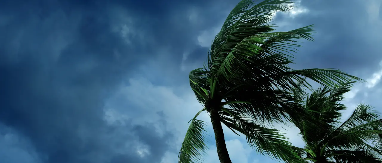 La tempesta Henri devasta l’America, 21 morti per le inondazioni: anche bambini tra le vittime