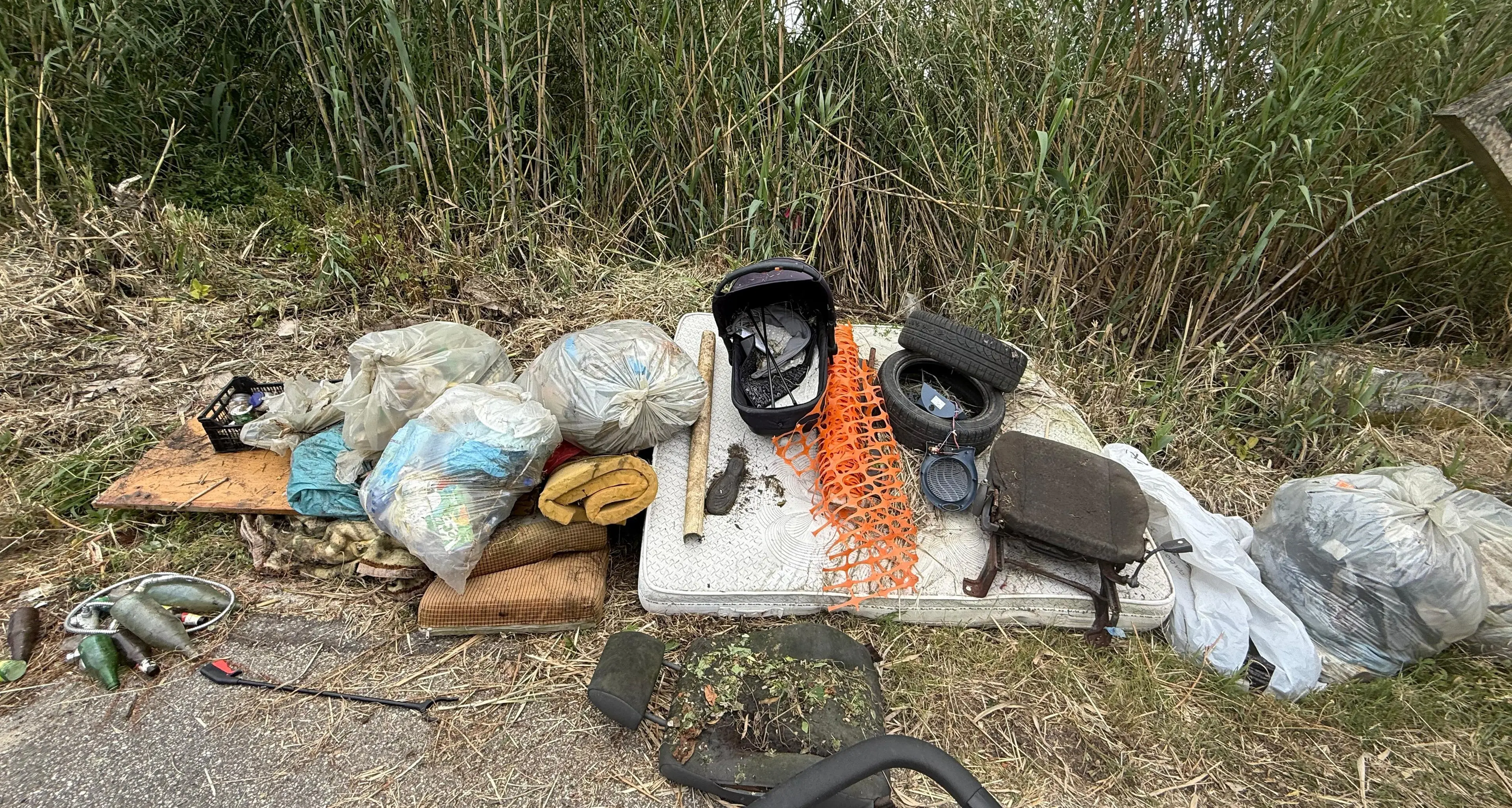Mileto, successo per la passeggiata ecologica promossa da Plastic free sulla Strada provinciale 10\n