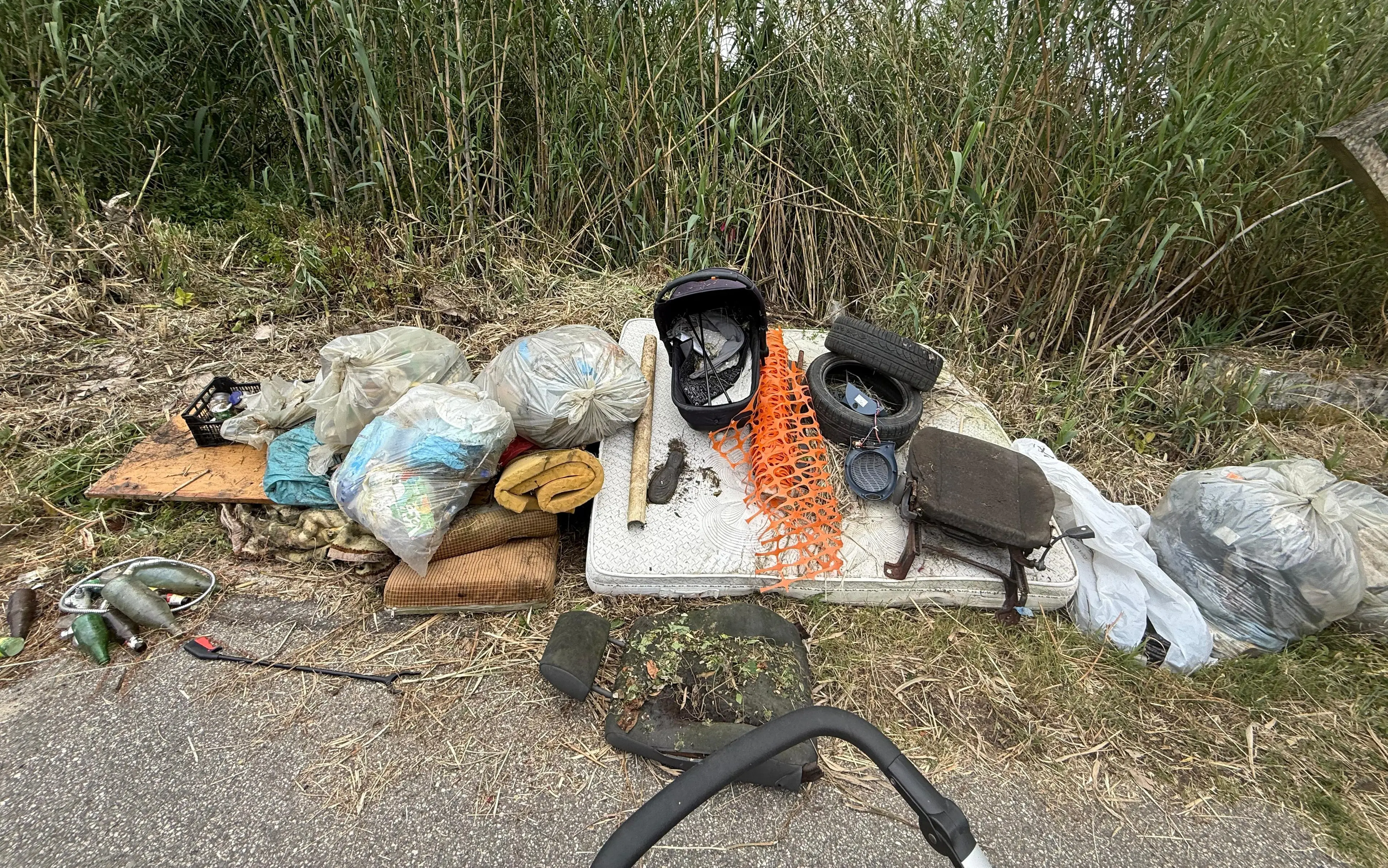 Mileto, successo per la passeggiata ecologica promossa da Plastic free sulla Strada provinciale 10\n