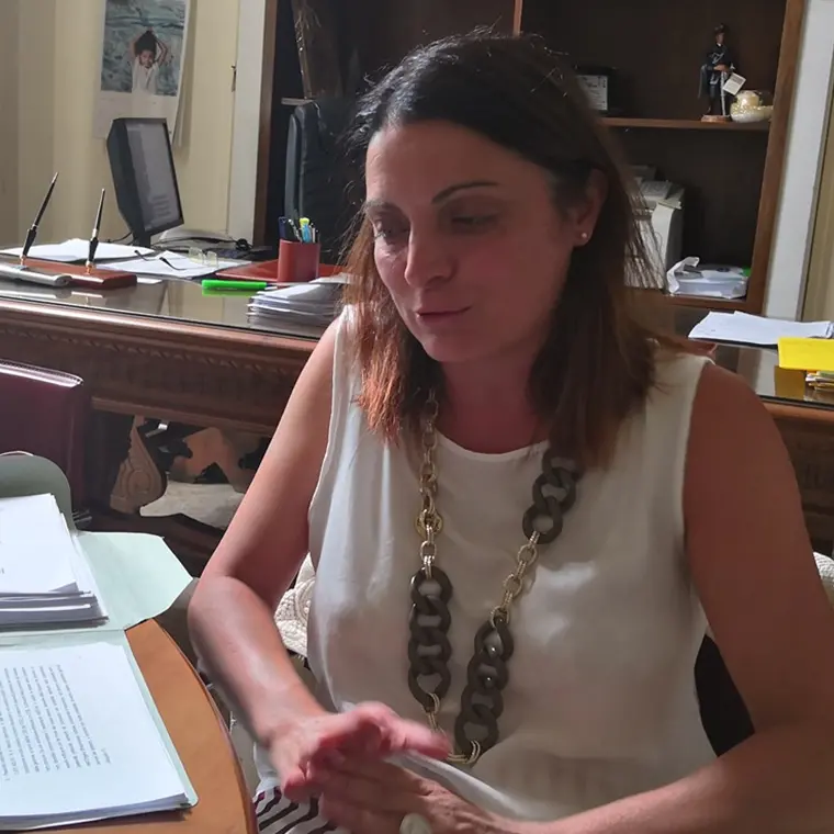 La vibonese Maria Teresa Nardo è il nuovo assessore al bilancio del Comune di Lamezia\n