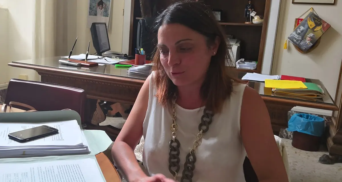 La vibonese Maria Teresa Nardo è il nuovo assessore al bilancio del Comune di Lamezia\n