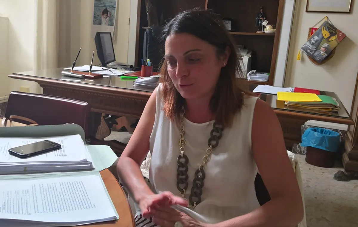 La vibonese Maria Teresa Nardo è il nuovo assessore al bilancio del Comune di Lamezia\n