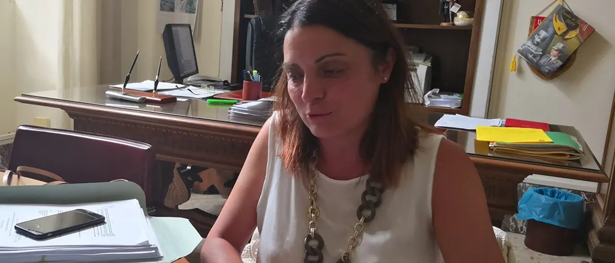 La vibonese Maria Teresa Nardo è il nuovo assessore al bilancio del Comune di Lamezia\n