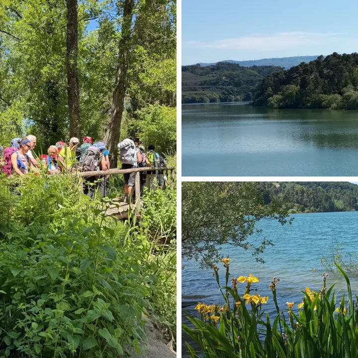 Oasi dell’Angitola in festa per riscoprire insieme al Wwf uno dei luoghi vibonesi più ricchi di biodiversità\n