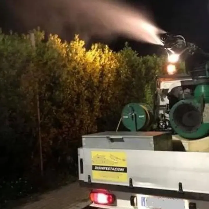 Rende, rinviata la disinfestazione degli insetti alati: ecco la nuova data\n