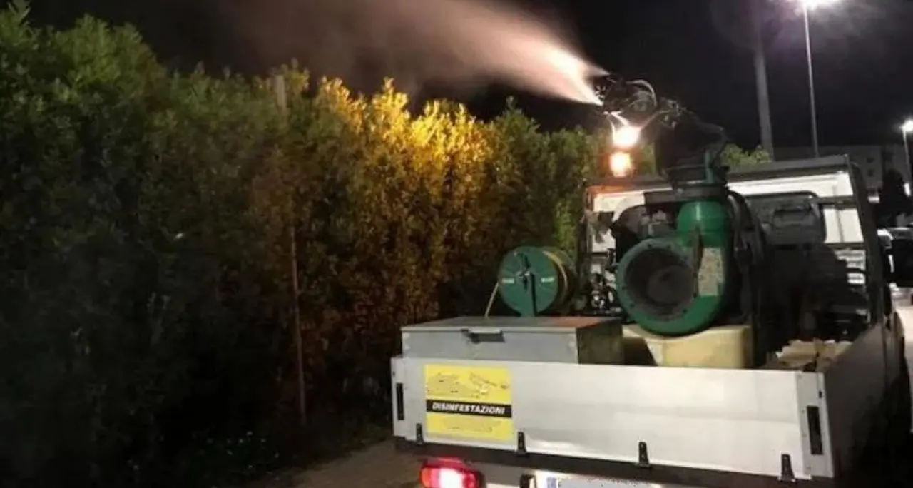Disinfestazione a Cosenza, dal 9 giugno interventi notturni in città\n