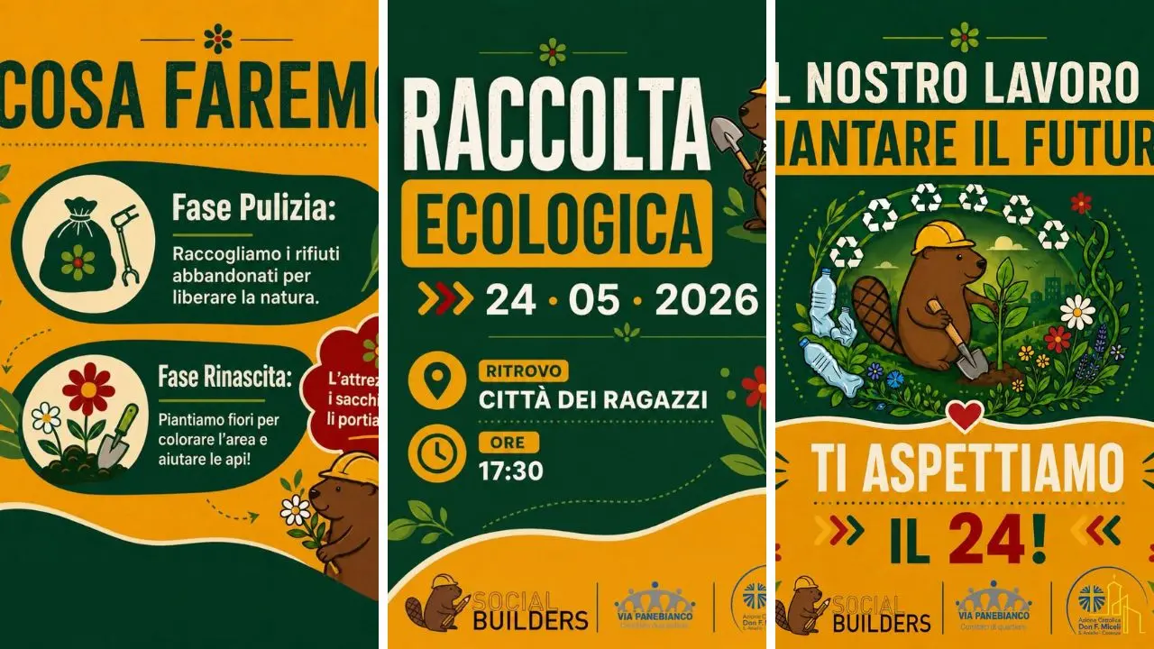 Cosenza, Social Builders promuove una giornata di volontariato dedicata alla raccolta ecologica\n