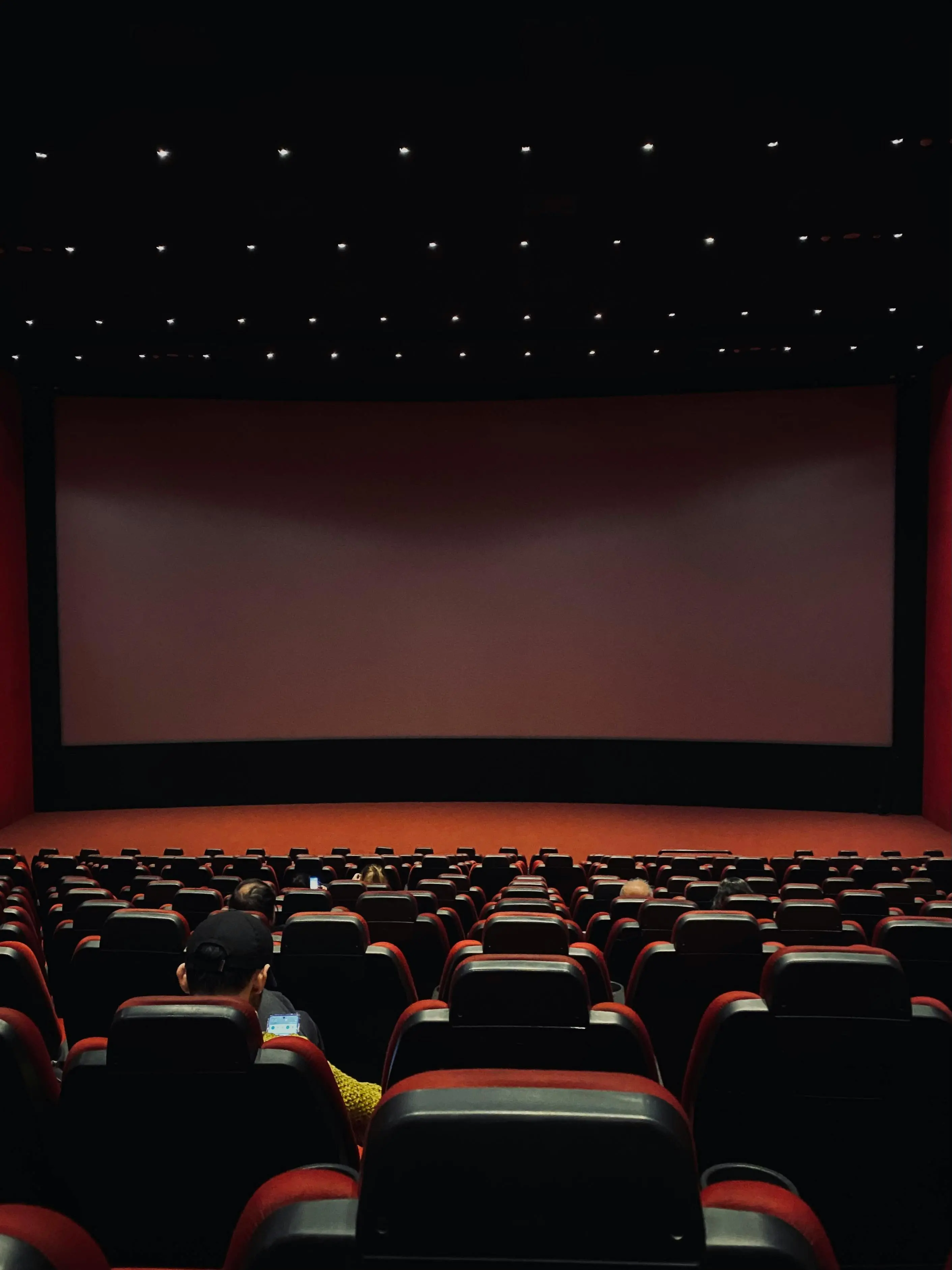 Parte il Catanzaro Movie Theater: cultura, cinema e teatro al servizio della città\n