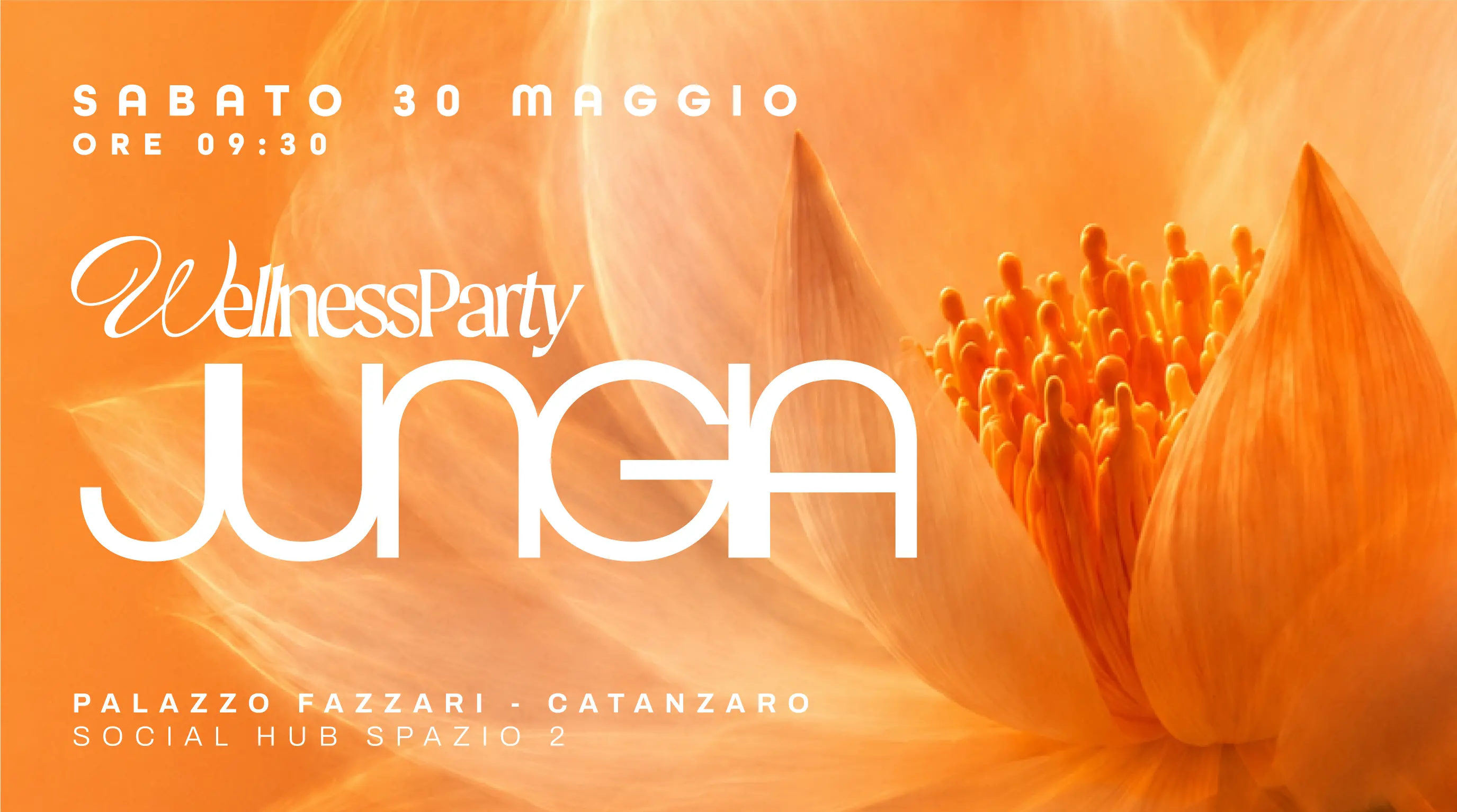 A Catanzaro arriva Jungia: il primo Wellness Party dove si balla, si respira e si brinda senza eccessi\n