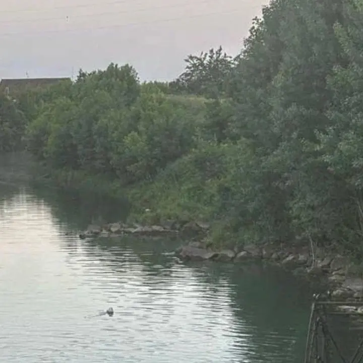 Verona, 15enne si tuffa e annega nel torrente Guà: corpo ripescato dopo quattro ore\n