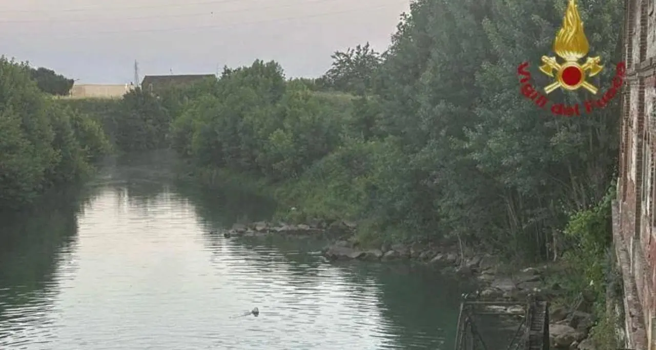 Verona, 15enne si tuffa e annega nel torrente Guà: corpo ripescato dopo quattro ore\n