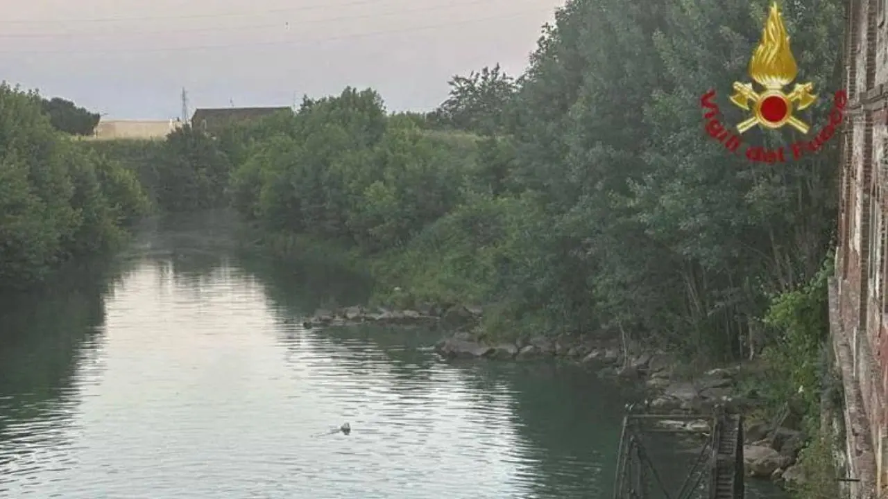 Verona, 15enne si tuffa e annega nel torrente Guà: corpo ripescato dopo quattro ore\n