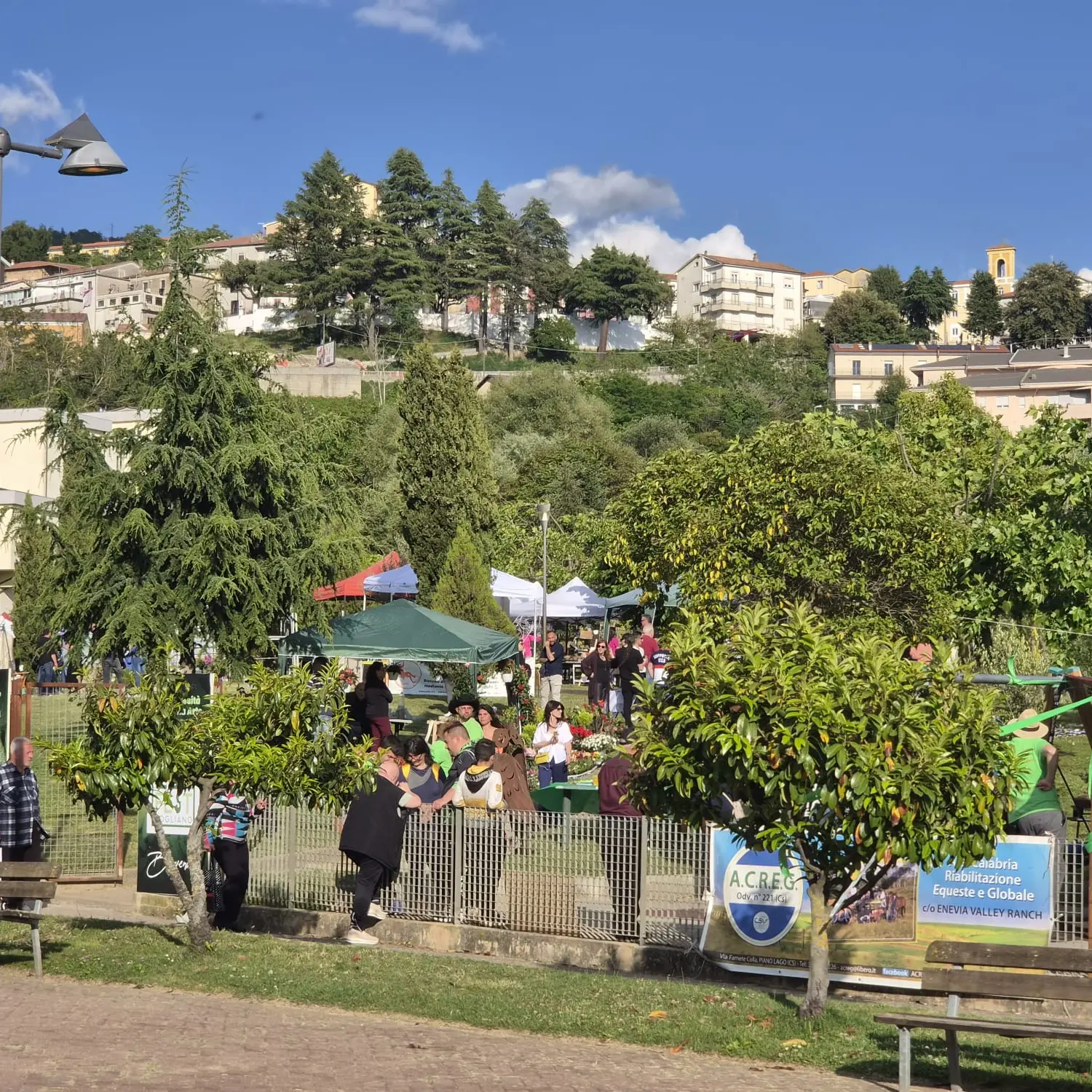 Green Fest conquista Rogliano: il parco immerso nel verde diventa il cuore ecologico della valle